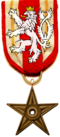 I award you with our highest star for your continuous effort in the topics related to the Czech Republic. ≈Tulkolahten≈ 16:19, 20 January 2008 (UTC)