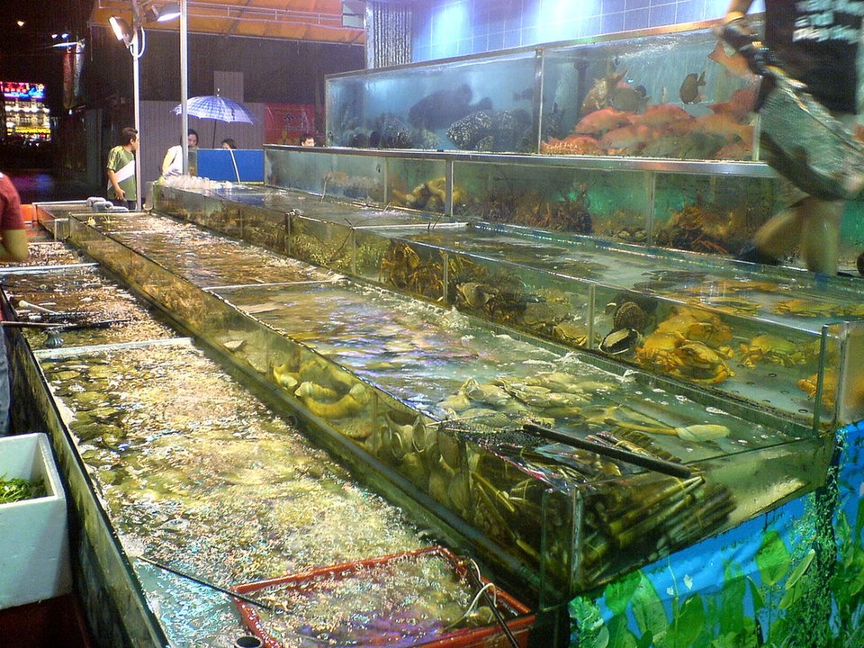 File:CantoneseRestaurantSeafood.jpg