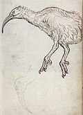 Thumbnail for version as of 20:48, 3 October 2011