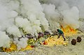 Thumbnail for version as of 06:36, 21 June 2017