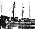 Thumbnail for version as of 08:14, 26 May 2020