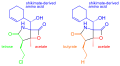 Salinosporamide A and B