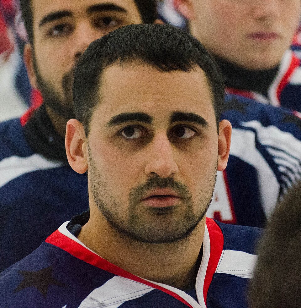 File:Steve Cash 2015.jpg