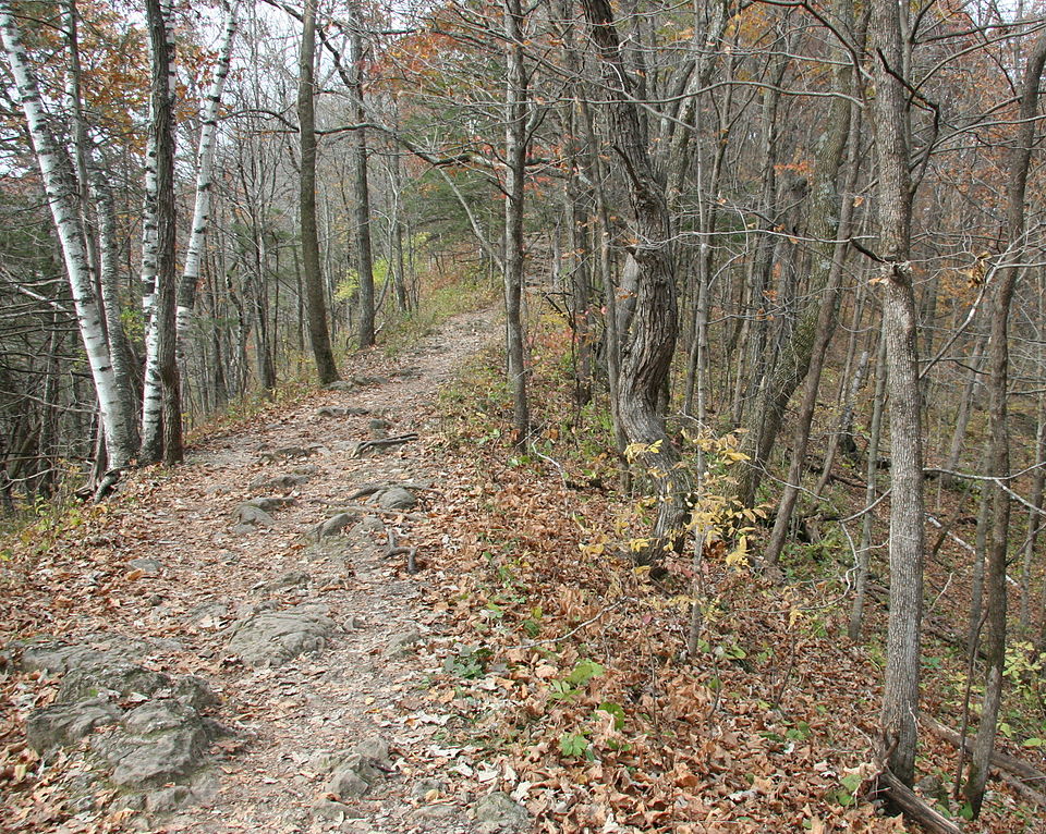 File:WhitewaterStateParkTrail2010.jpg