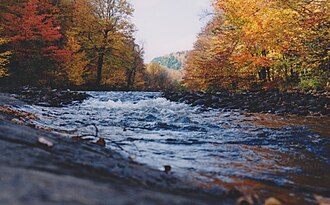 Long Lake outlet, accessible by Lac Clair and Lac Long roads, Saint-Alban