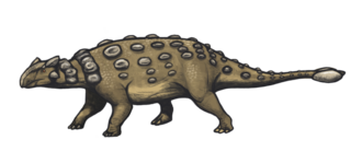 Image of restored specimen of a squat quadruped with knobby back