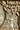 WikiProject icon