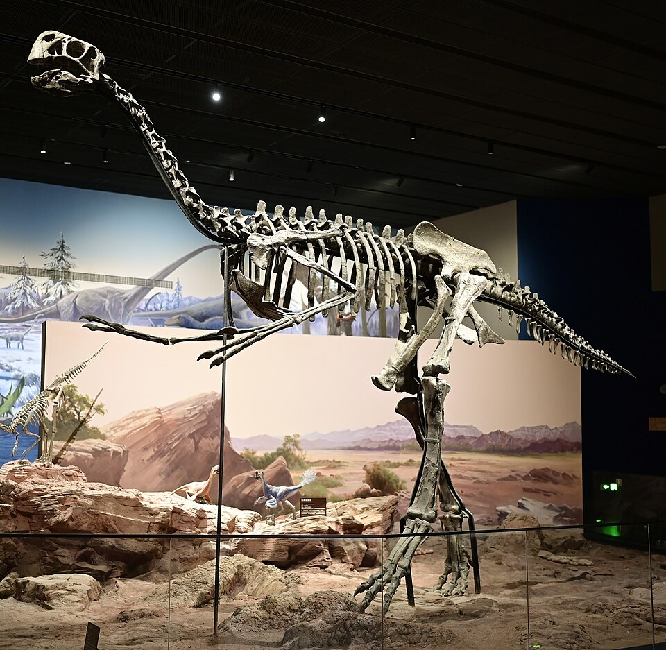 File:Gigantoraptor - Baoding.jpg