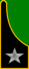 1st Field Artillery Regiment (Mountain)