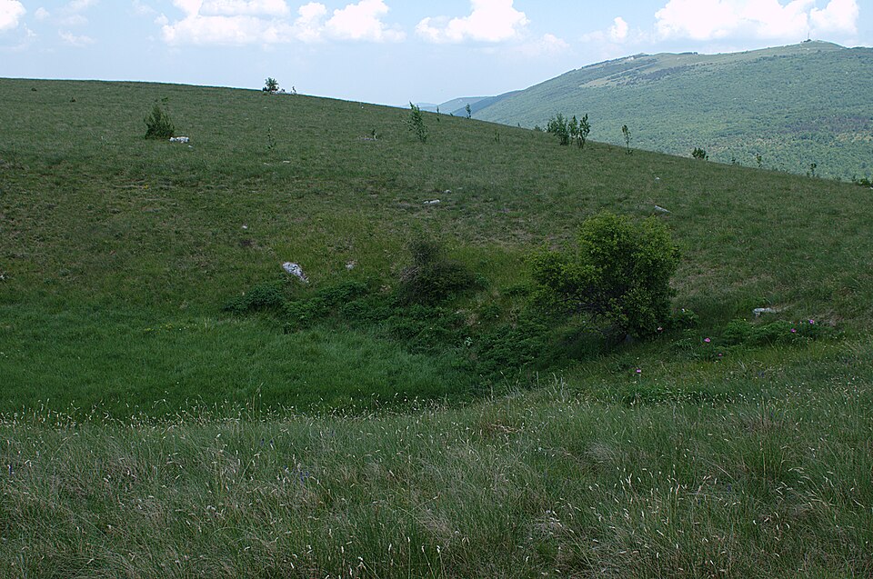 File:Pelatea klugiana habitat podgorje01.jpg