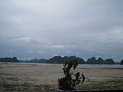 Quan Lạn Island