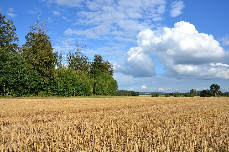 File:Wasserschutzgebiet Entenweiher, Albstadt (Zollernalbkreis).jpg