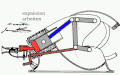 Animation with gas exchange