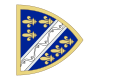 Royal banner of the Kingdom of Bosnia