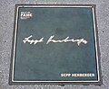 Sepp Herberger