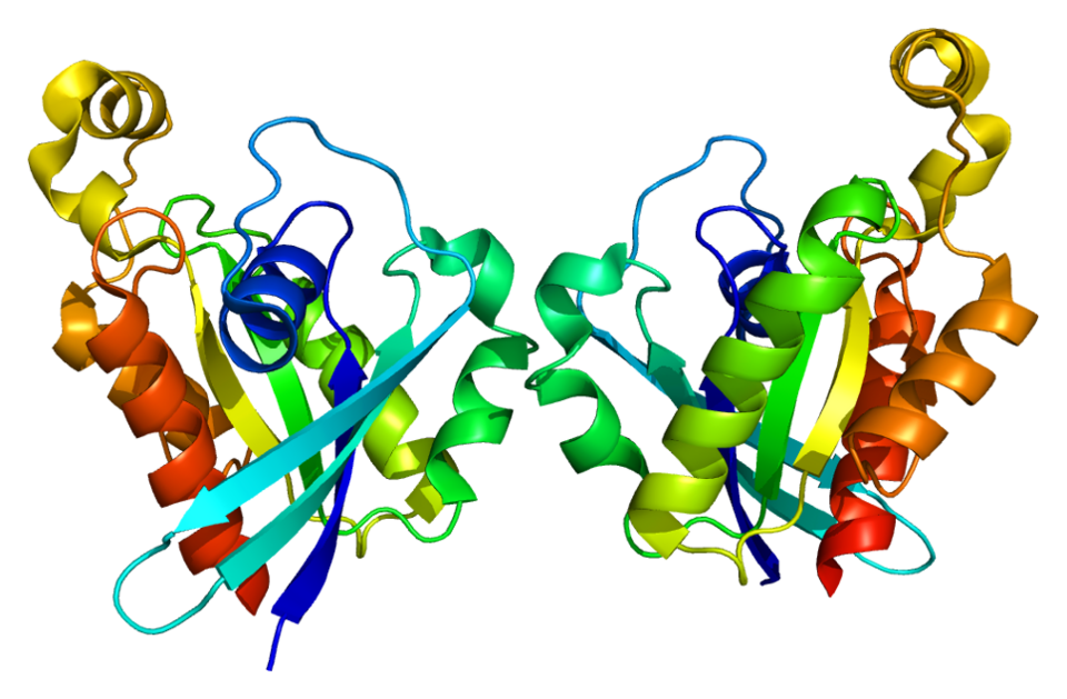 File:Protein RND1 PDB 2cls.png