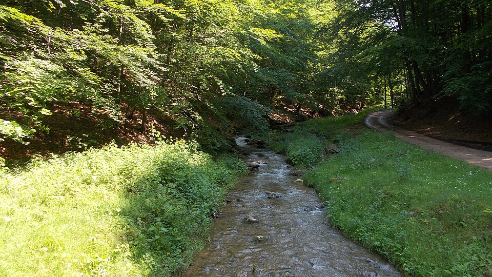 File:RO BH Râul Valea Boiului.JPG