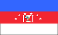 Flag of Paz Castillo Municipality