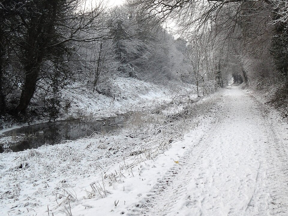 File:Boyne Navigation Canal.JPG
