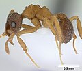 Thumbnail for version as of 05:16, 19 October 2009