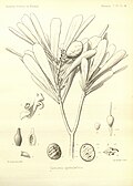 Thumbnail for version as of 20:03, 2 February 2017