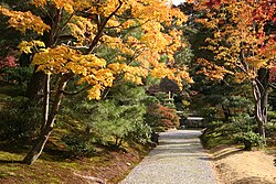 Garden path