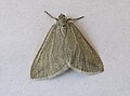 Thumbnail for version as of 12:39, 16 May 2011