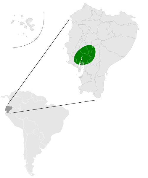 File:Molossops aequatorianus map.svg