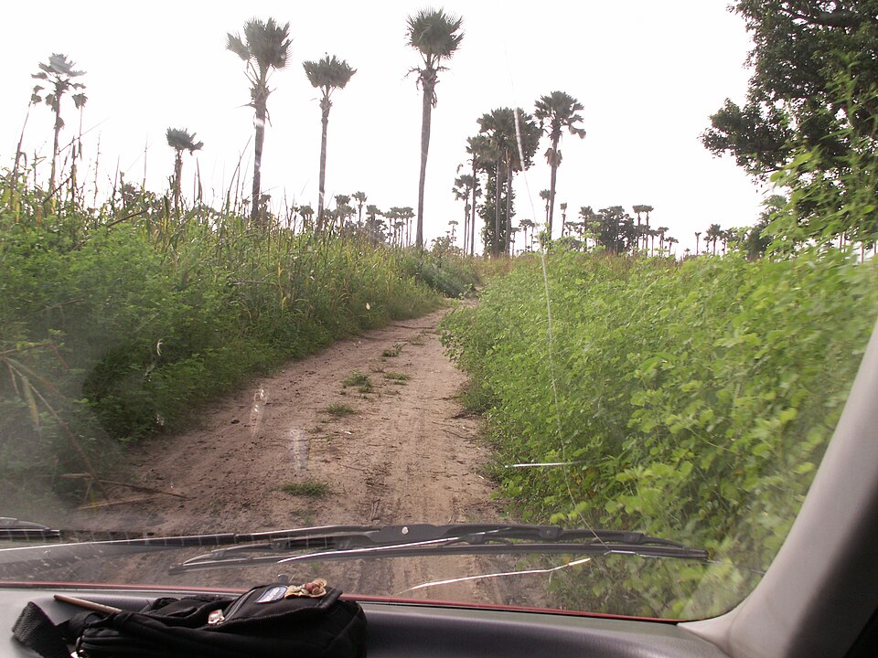 File:SenSavanna3.JPG