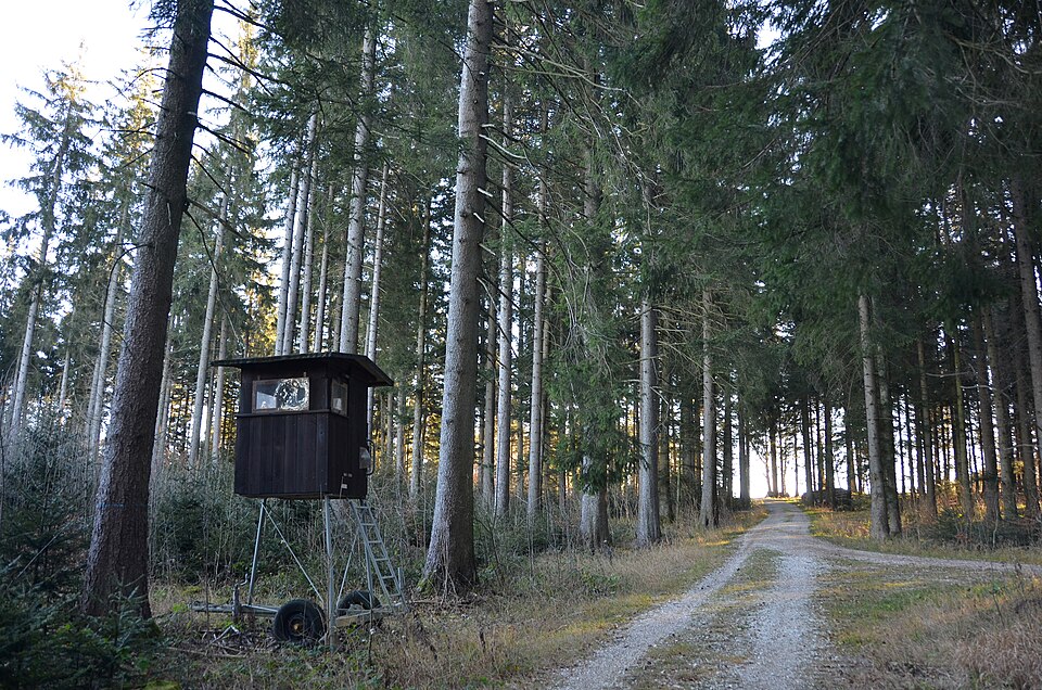 File:Wasserschutzgebiet Unterrieselquelle (Landkreis Tuttlingen).jpg