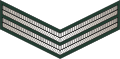Thumbnail for version as of 11:57, 3 July 2017