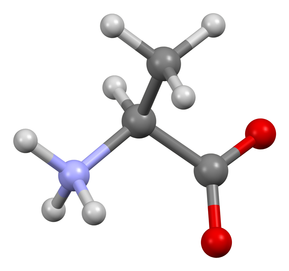 File:Alanine-from-xtal-3D-bs-17.png