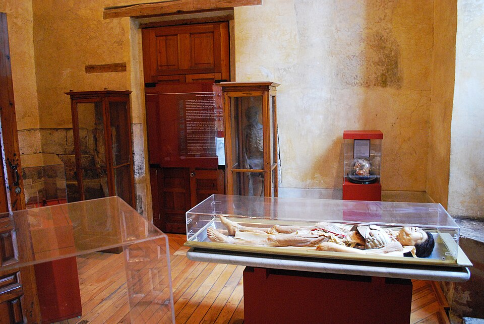 File:AntesalaMedMusDF.JPG
