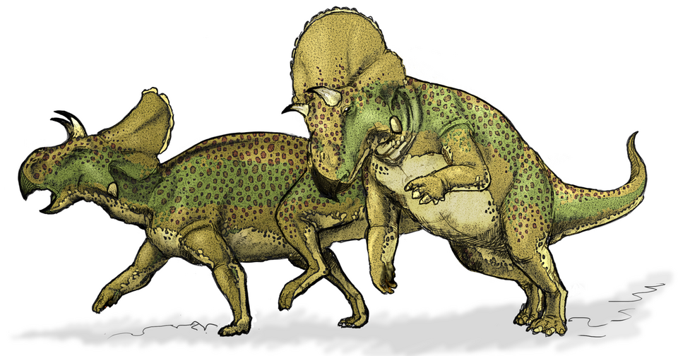 File:Avaceratops dinosaur.png