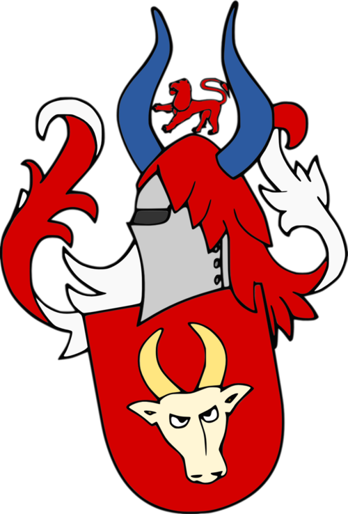 File:Djordje Stefanovic Brankovic.png