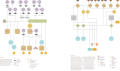 Thumbnail for version as of 13:35, 14 March 2018