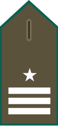 File:PNI.7.CARAB.BLUSON.SOM.svg