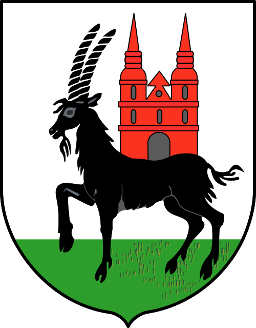 File:POL Wieruszów COA.svg
