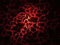 Thumbnail for version as of 03:14, 20 May 2008