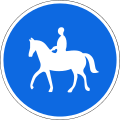 4.10.1 Rider path