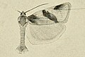 Thumbnail for version as of 15:20, 23 June 2014