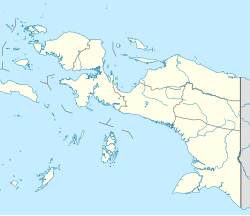 Mimika Regency is located in Western New Guinea