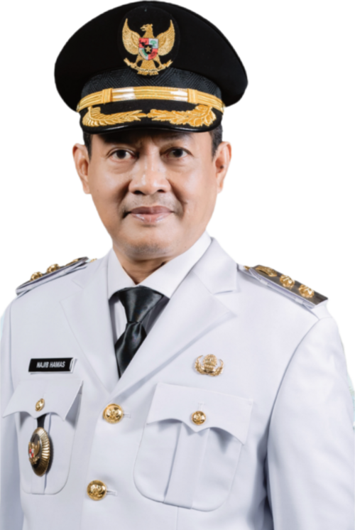 File:Najib Hamas, Wakil Bupati Serang.png