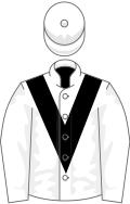 White, Black chevron and hoop on cap