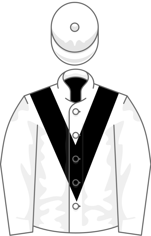 File:Owner Mr B G Hellyer.svg