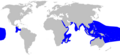 Thumbnail for version as of 06:31, 4 May 2011