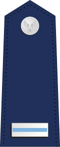 File:US-AirForce-WO5.svg