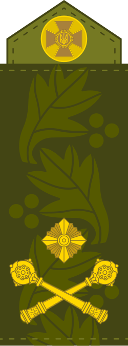File:Погон бригадного генерала ЗСУ (2020).svg