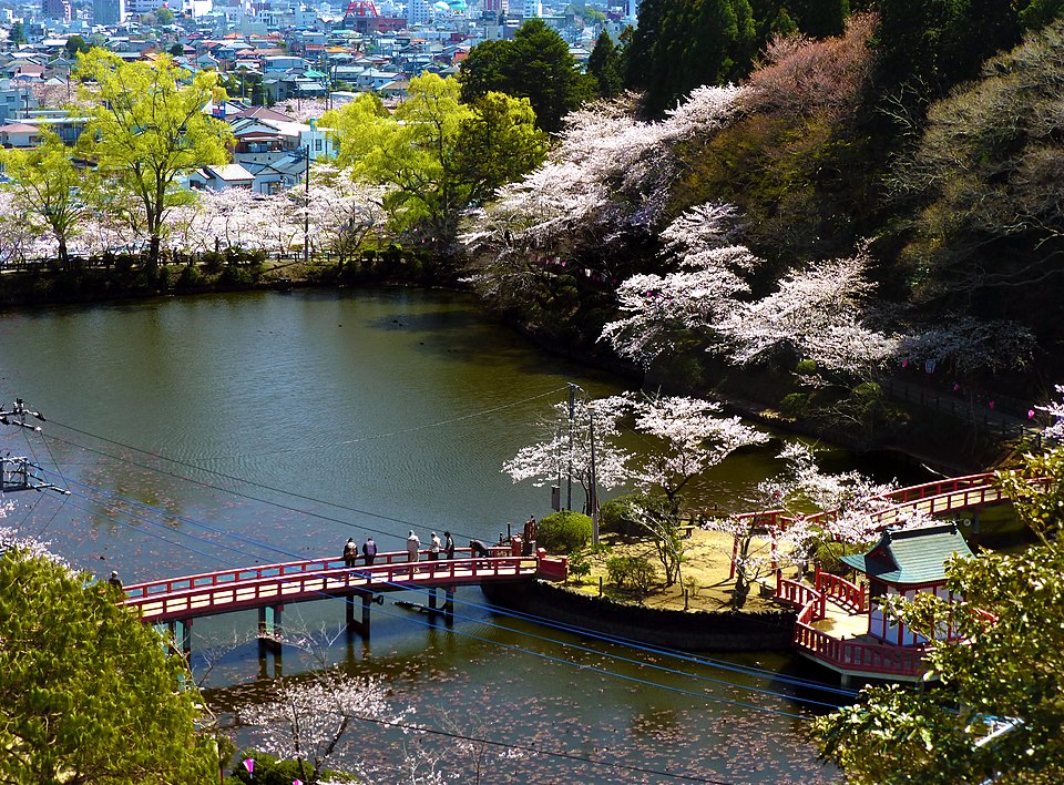 File:茂原公園桜風景.JPG