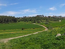 Moshav "Tzafririm" in Spring